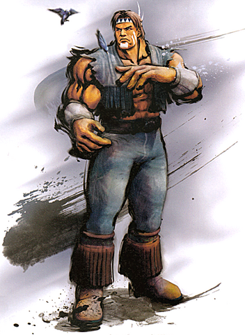 File:THawk.png