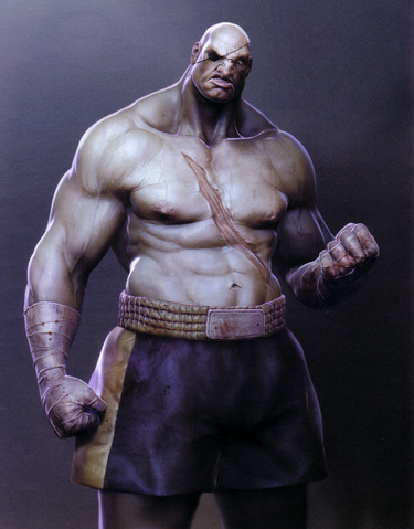 File:SSFIITHDRLEBoxArt.png
