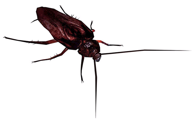 File:REDarksideCockroach.png