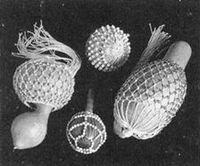 Afoxe Xequere.jpg