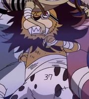 León Rana.jpg