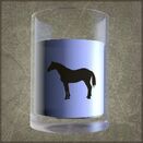 Horse Milk