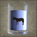 Donkey Milk