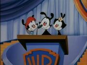 Animaniacs65