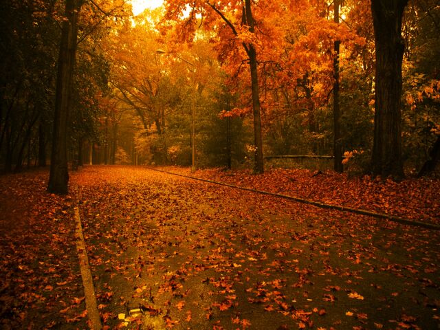 Файл:Otoño.jpg
