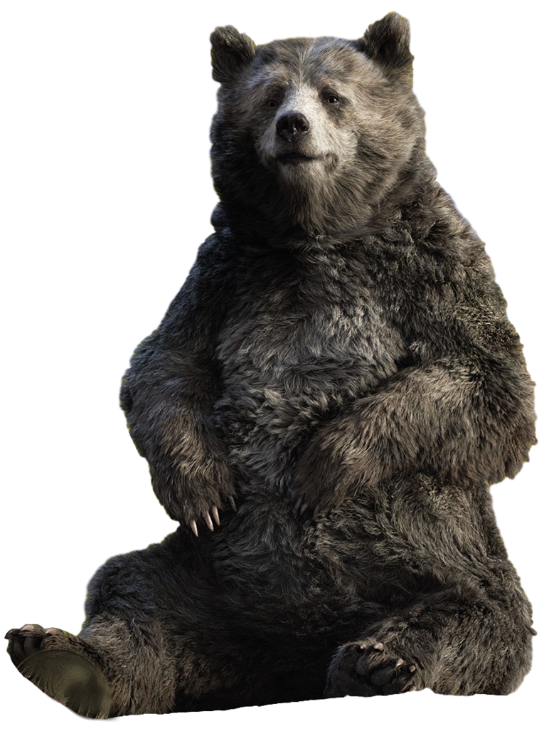77 Top Best Writers Baloo Live Action Jungle Book from Famous authors