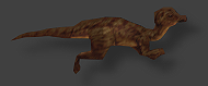 File:Orodromeus.png