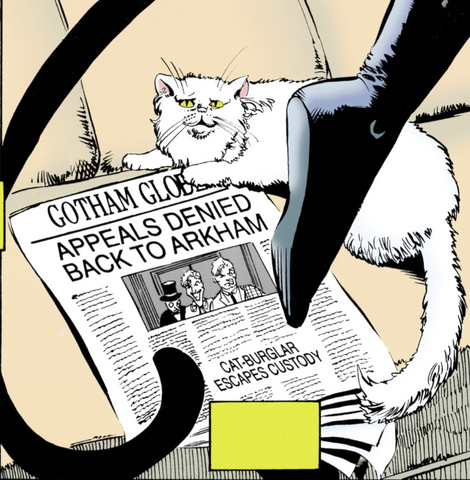 File:CatwomanGothamGlobe3.png