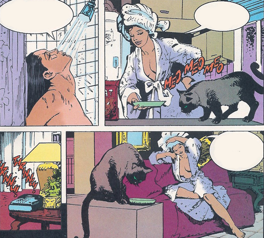 File:ZatannaHouse14.png