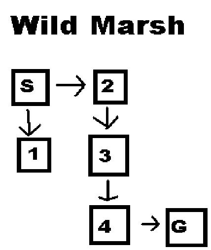 Wild marsh map