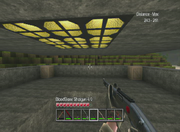 Shotgun