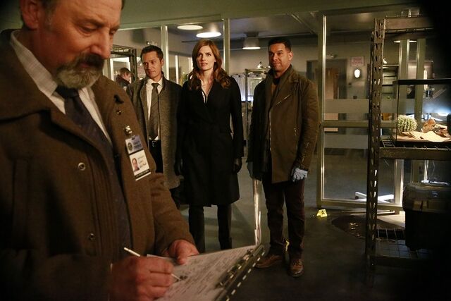 File:Castle-8x13.jpg