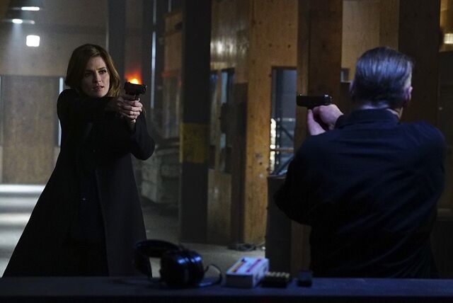 File:Castle-8x15.jpg