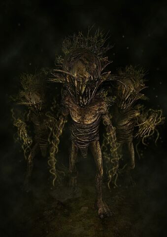 File:Mandragora sm-1-.jpg