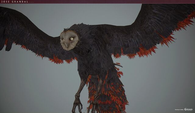 File:BarnOwl5.jpg