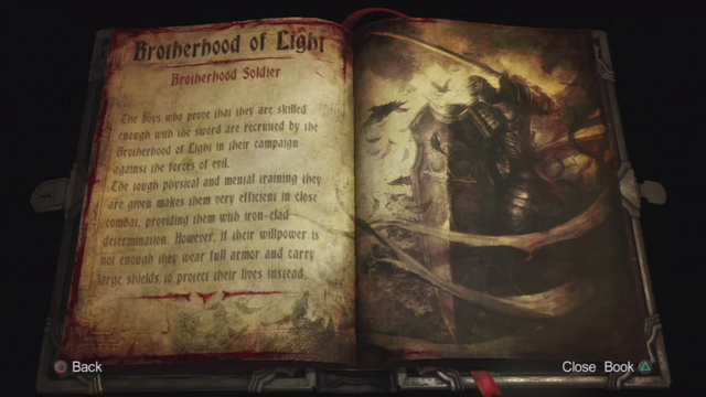 File:Brotherhood Soldier LoS2.png