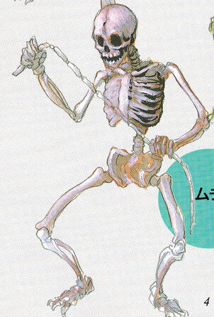 File:06whipskeleton.jpg