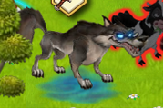 Gloom Wolf