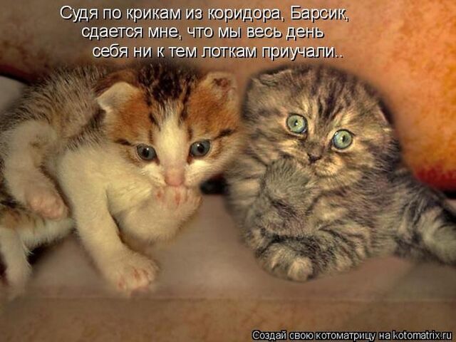 Файл:Упс.jpeg