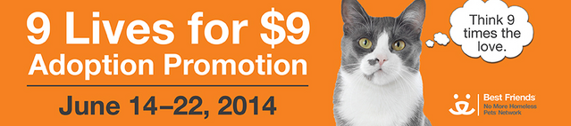 File:9-Lives-for-9-event-page-banner-2014.png