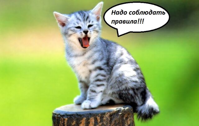 Файл:Правила.jpg