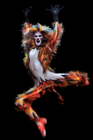 Macavity Cats  Musical  Wiki FANDOM powered by Wikia