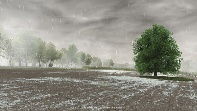 File:Cattle and crops portfolio 03.jpg