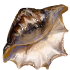 310.png