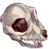 Череп.png