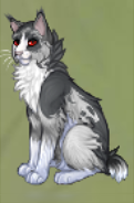 Котик10.png