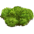 75.png