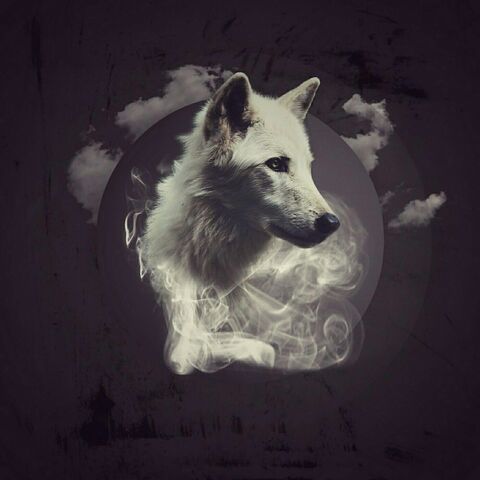 Файл:Image-0.jpg
