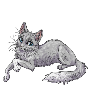 Cat.png