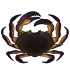 Краб.png
