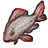 309.png