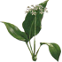 18.png