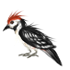 238.png
