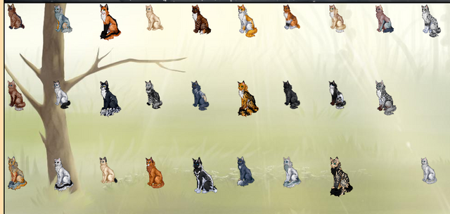 Файл:Screenshot (41).png