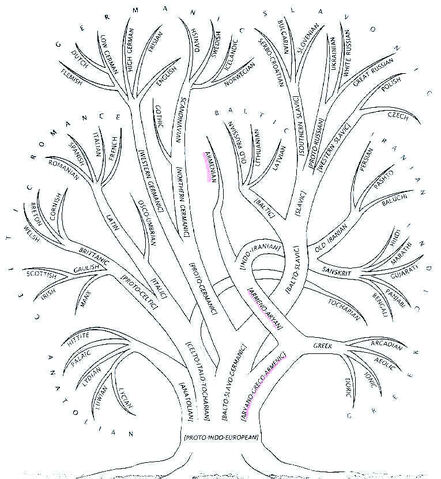File:Indoeuropeantree.jpg