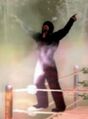 Thumbnail for version as of 05:28, February 19, 2012