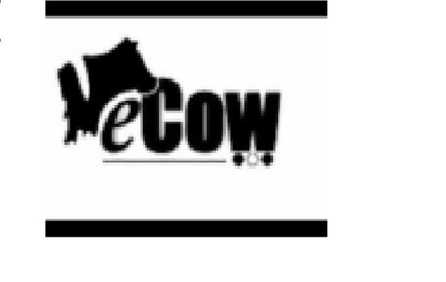 File:Ecow.jpg