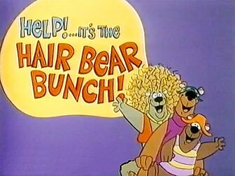 Hair bear bunch
