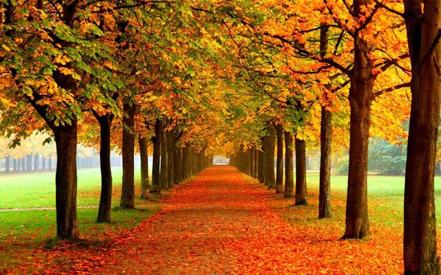 File:Otoño.jpg