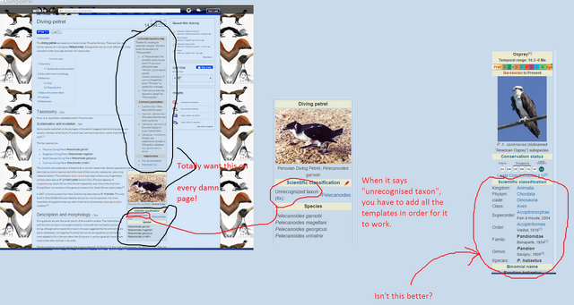 File:Stupid2.png