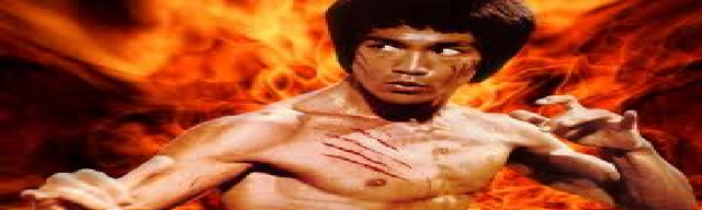 File:Bruce.png