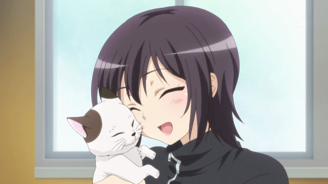 File:Yozoralovecats.jpg