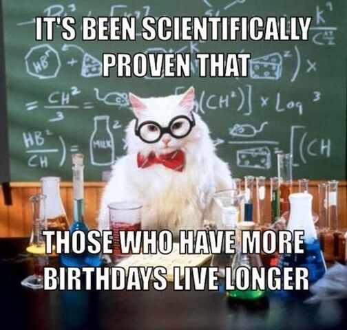 File:Funny-happy-birthday-animal-pictures.jpg