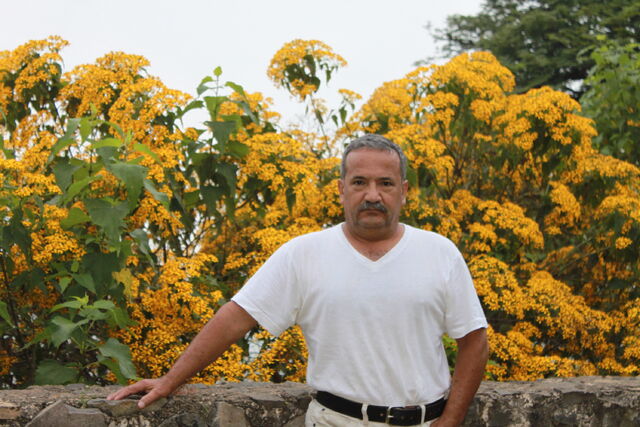 File:IMG 2638.jpg