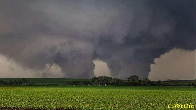File:Pilger.jpg