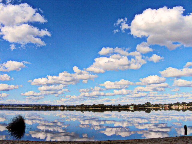 File:DSC04784.jpg